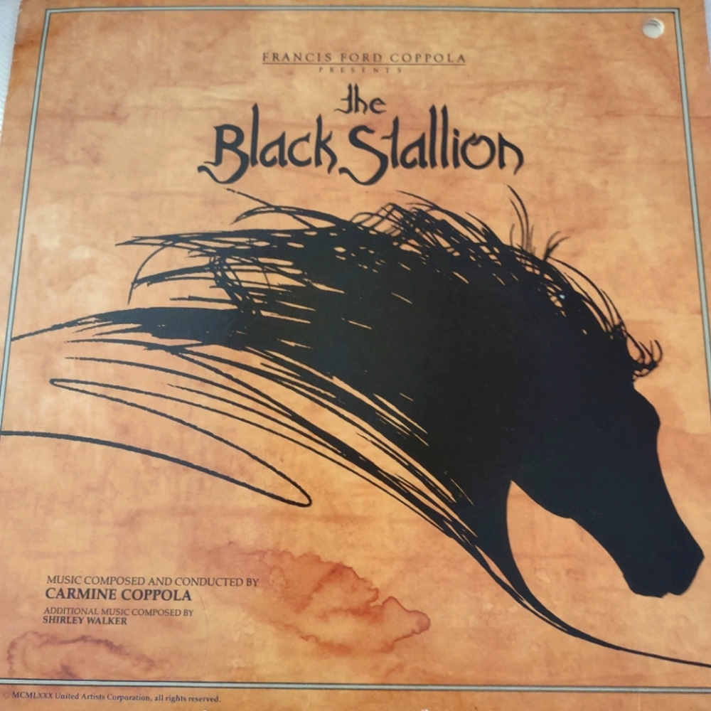 Vinyl record like new